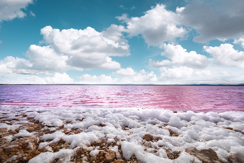 Одна из самых известных достопримечательностей — горы соли на фоне розовой лагуны. Это не только любимое место для фотосессий, но и важный промышленный объект, обеспечивающий солью всю Европу. Источник: borchee / IStock