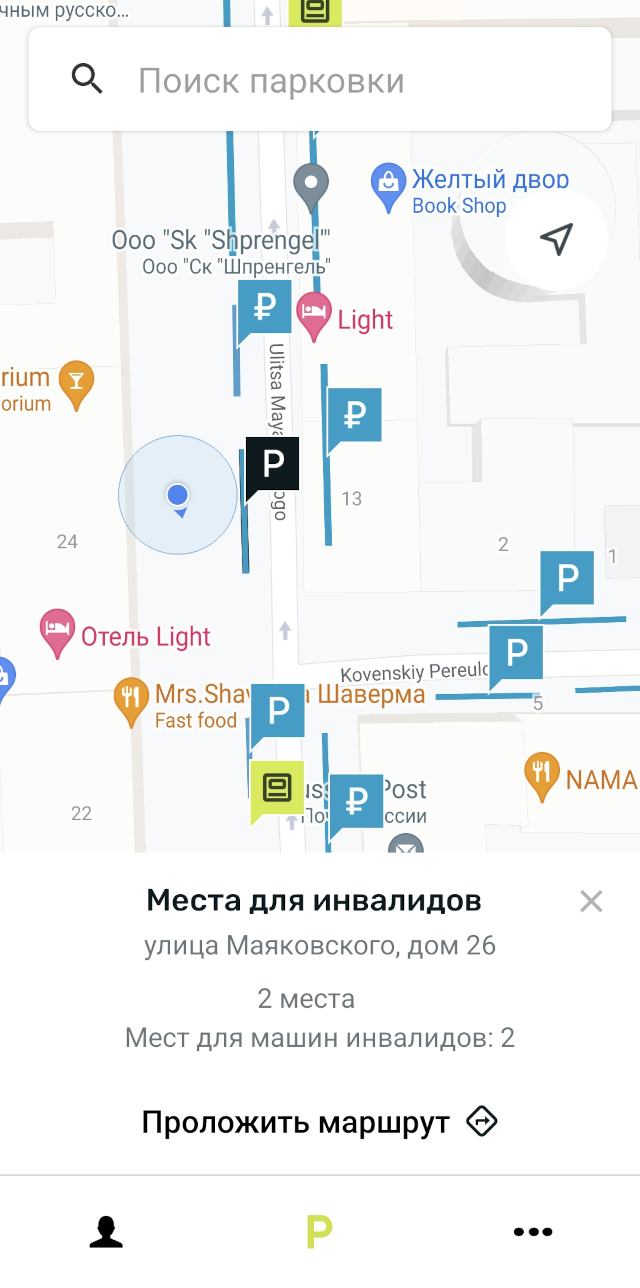 «Парковки Санкт-Петербурга» примерно такие же. Жаль, нельзя отключить слой карты с организациями — надписи мешают