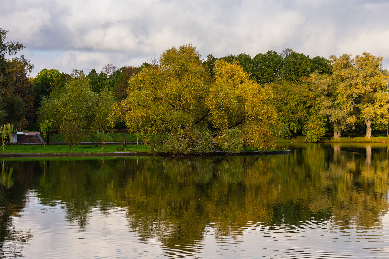 Фотография: olegmorgun1311 / Shutterstock / FOTODOM