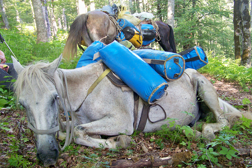 В Абхазии снаряжение несли лошади, а спелеологи налегке шли рядом