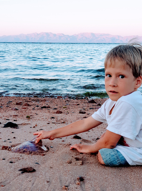 Мой сын обожает море и хочет связать с ним свою будущую профессию