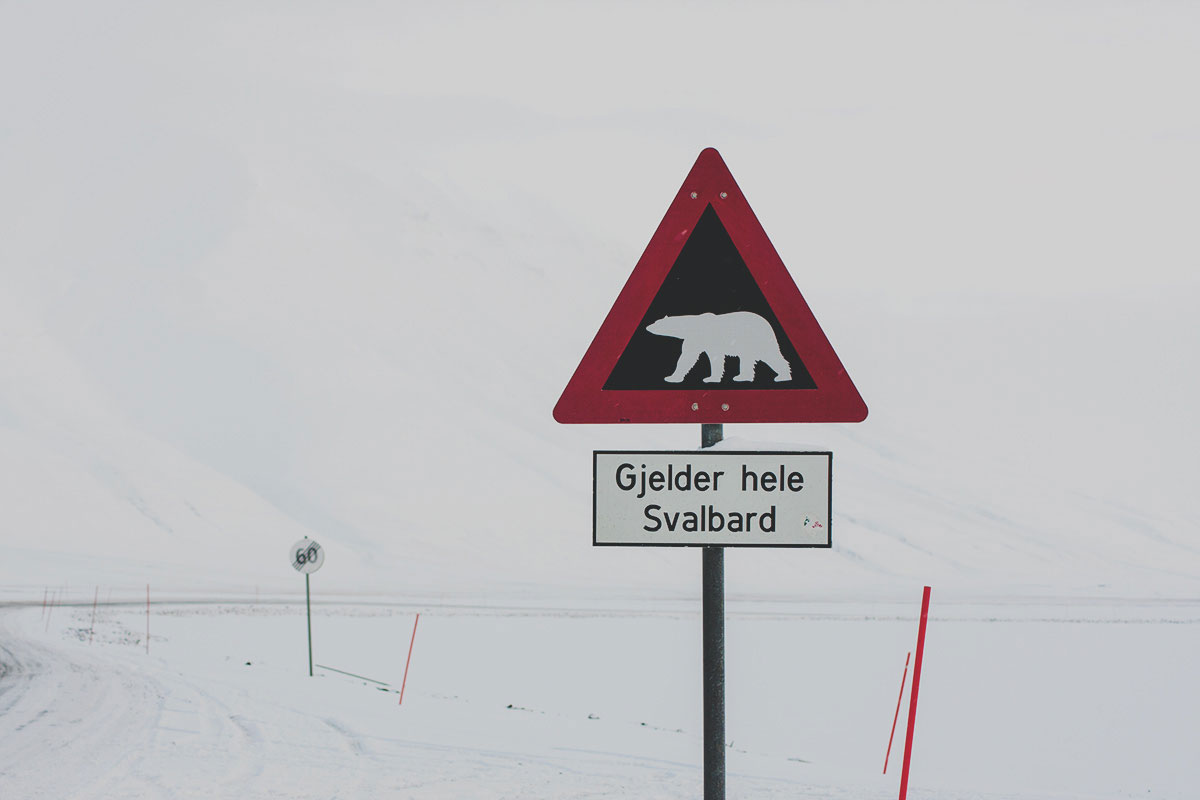 Знак у границы города предупреждает о медведях
