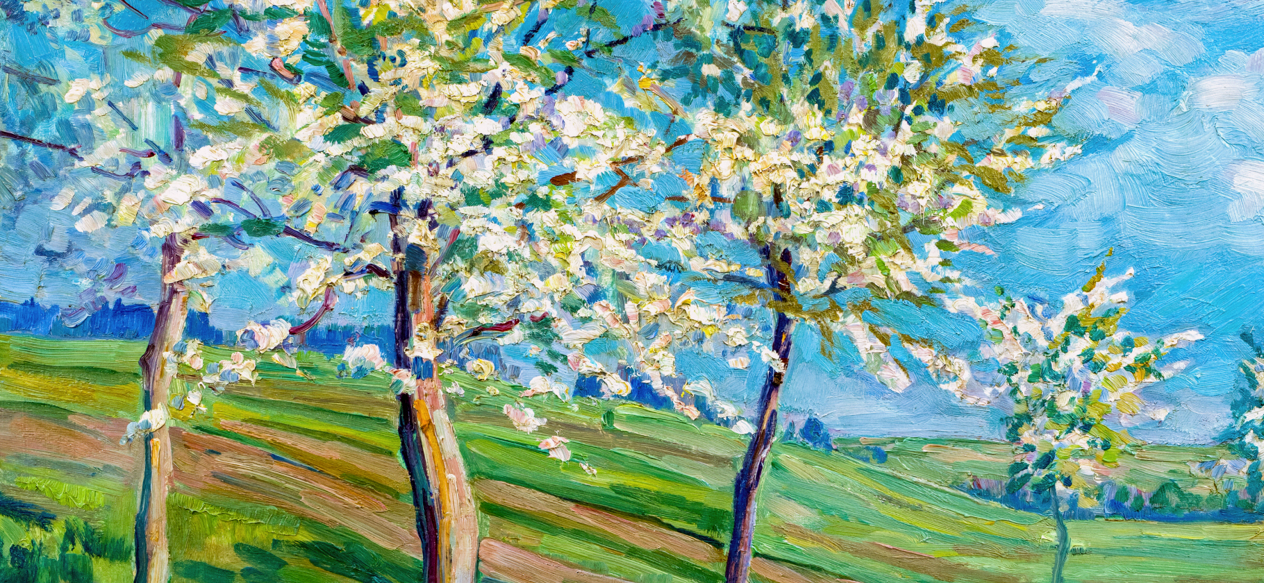 Поделитесь весен­ней пленочной фотогра­фией, которую вы сделали