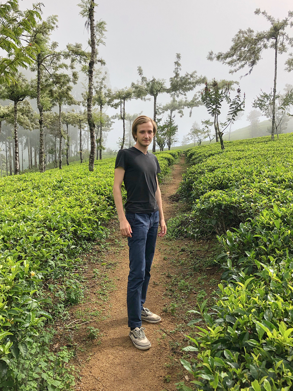 До поездки в эту страну я ни разу не был на чайных плантациях