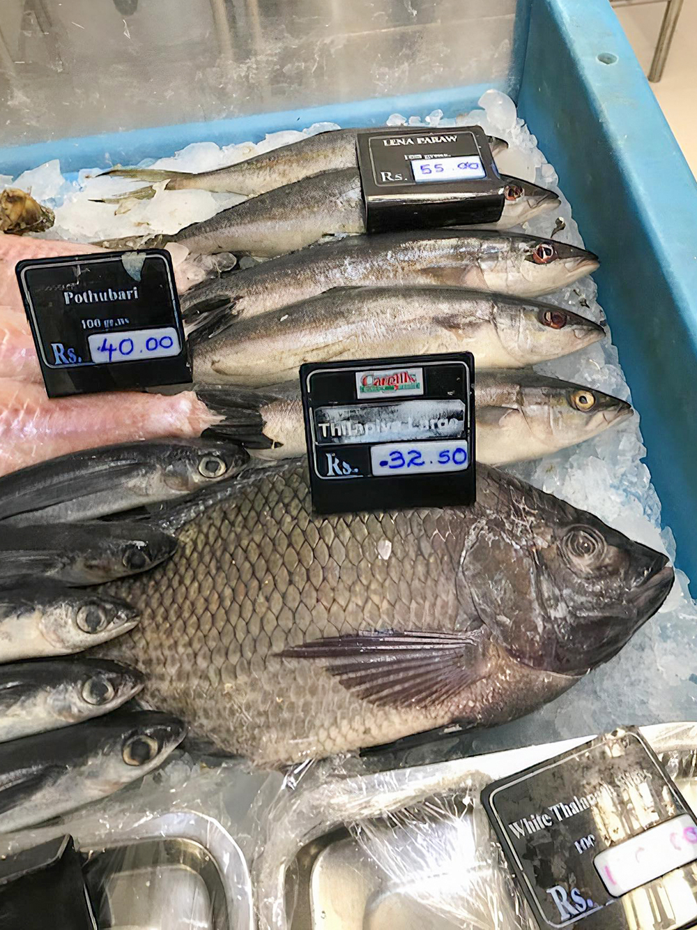 Цены на рыбу в Мириссе