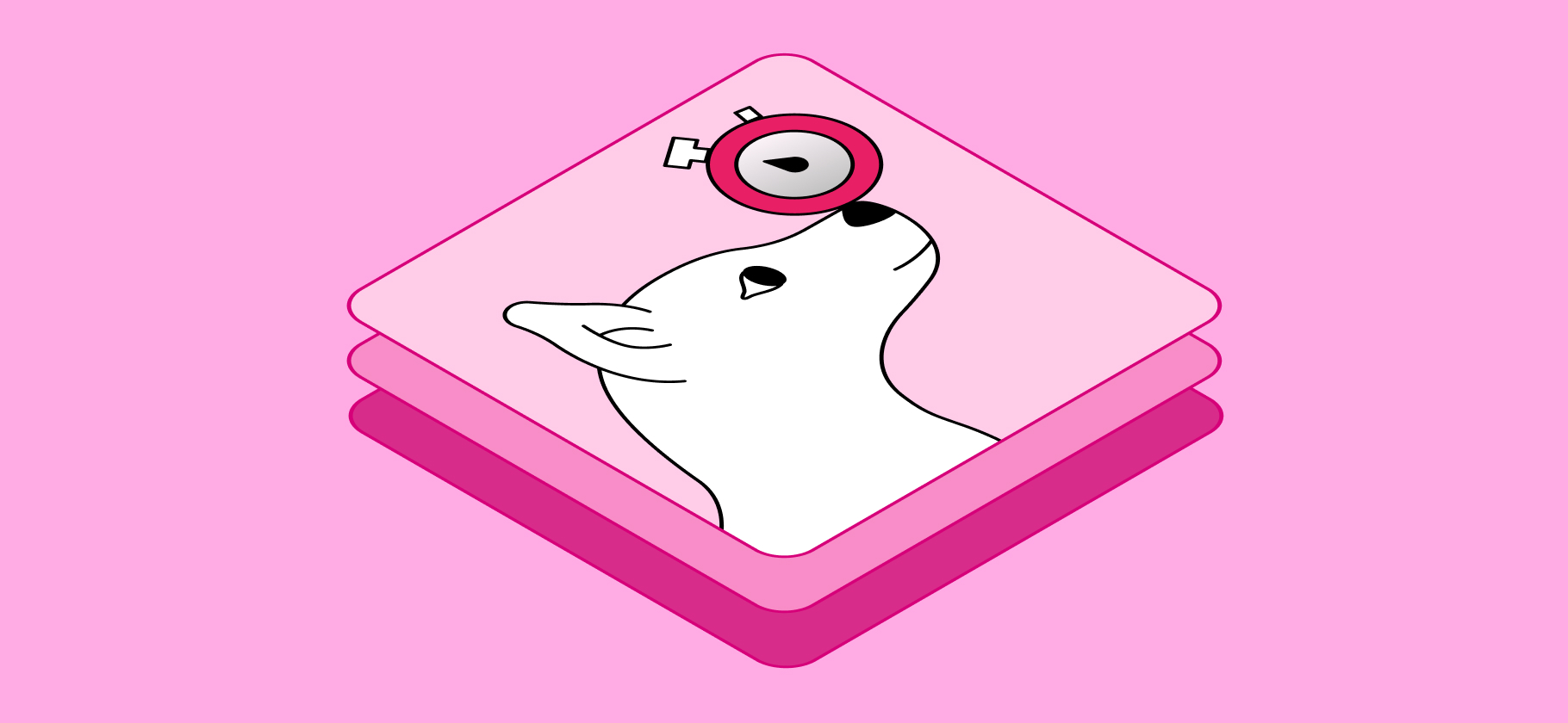 Как научить собаку команде «ждать»