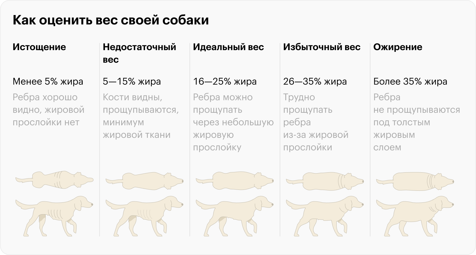 Сверьтесь с картинкой, чтобы оценить вес своей собаки. При оценке учитывайте породные особенности питомца: у некоторых пород талия менее выражена