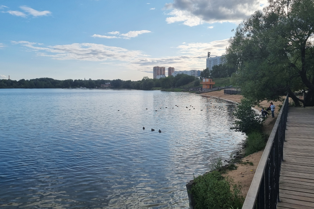 Вид из парка на Троице-Лыково