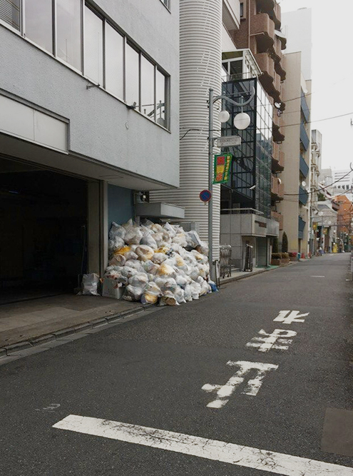 В Японии часто можно встретить грызунов в центре города. Вывоз и сортировка мусора здесь очень строгие, и если не вынести мешок в определенный день, то придется хранить его в квартире до следующего разрешенного дня