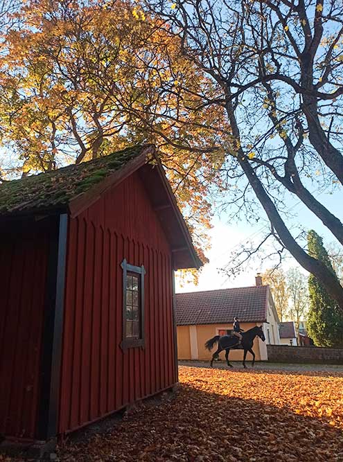 Тихая и спокойная шведская деревенька