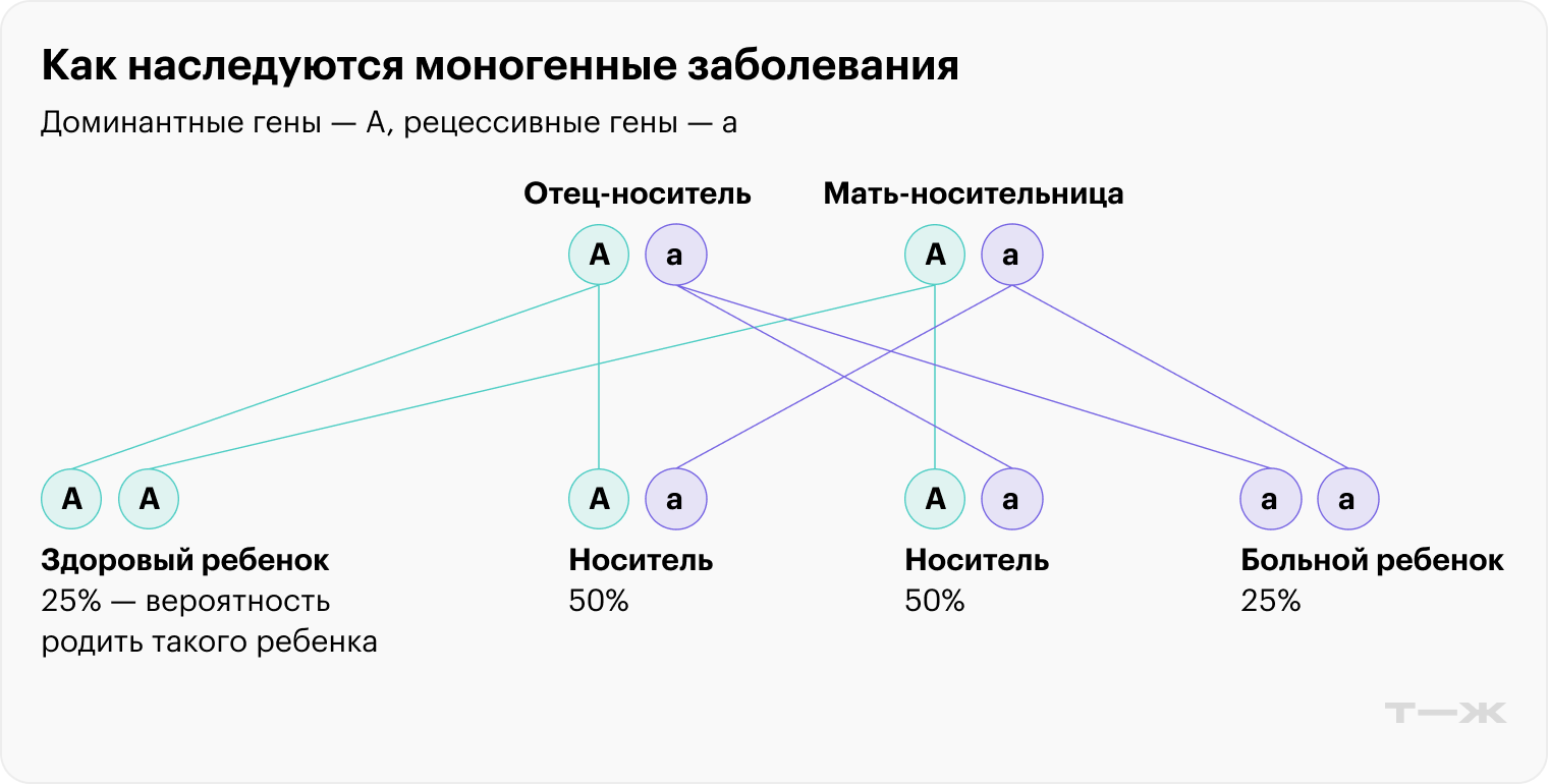 Если у обоих родителей есть мутантный ген, но сами они здоровы, риск родить ребенка с заболеванием — 25%