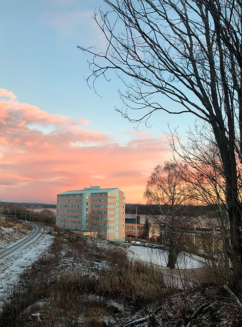 Первый день стажировки. Здание компании Valmet покрашено в цвет предрассветного шведского неба