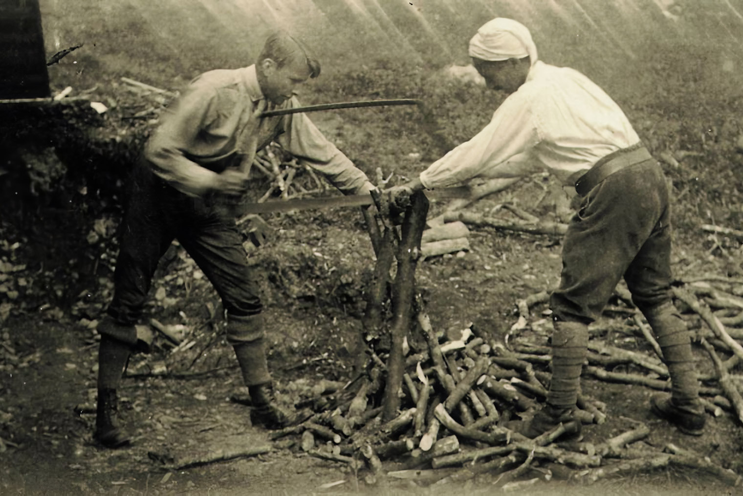 Гадамер (слева) и Хайдеггер пилят дрова. Источник: buendischerwaldgang.tumblr.com