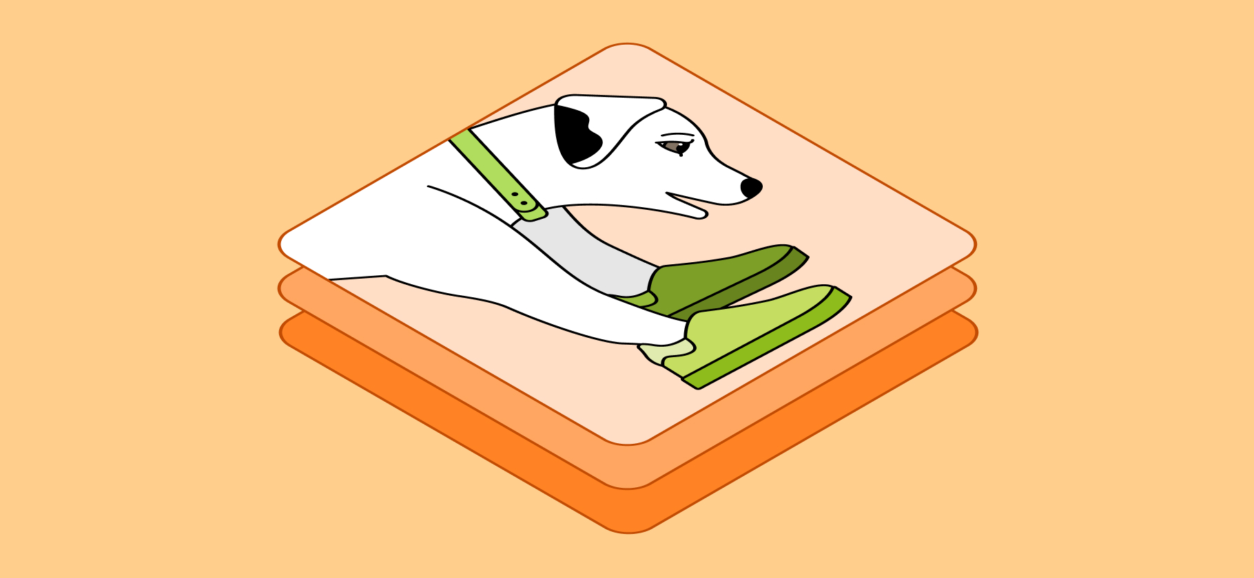 Как научить собаку приносить тапочки