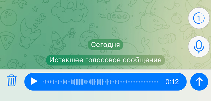 Иконка паузы и возобновления записи находится под кнопкой с настройкой автоудаления сообщения