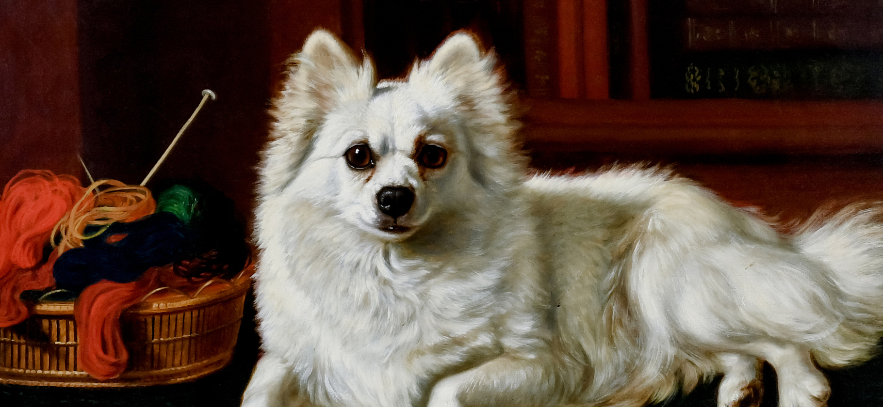 Вы владелец немецкого шпица? Поделитесь отзывом о породе