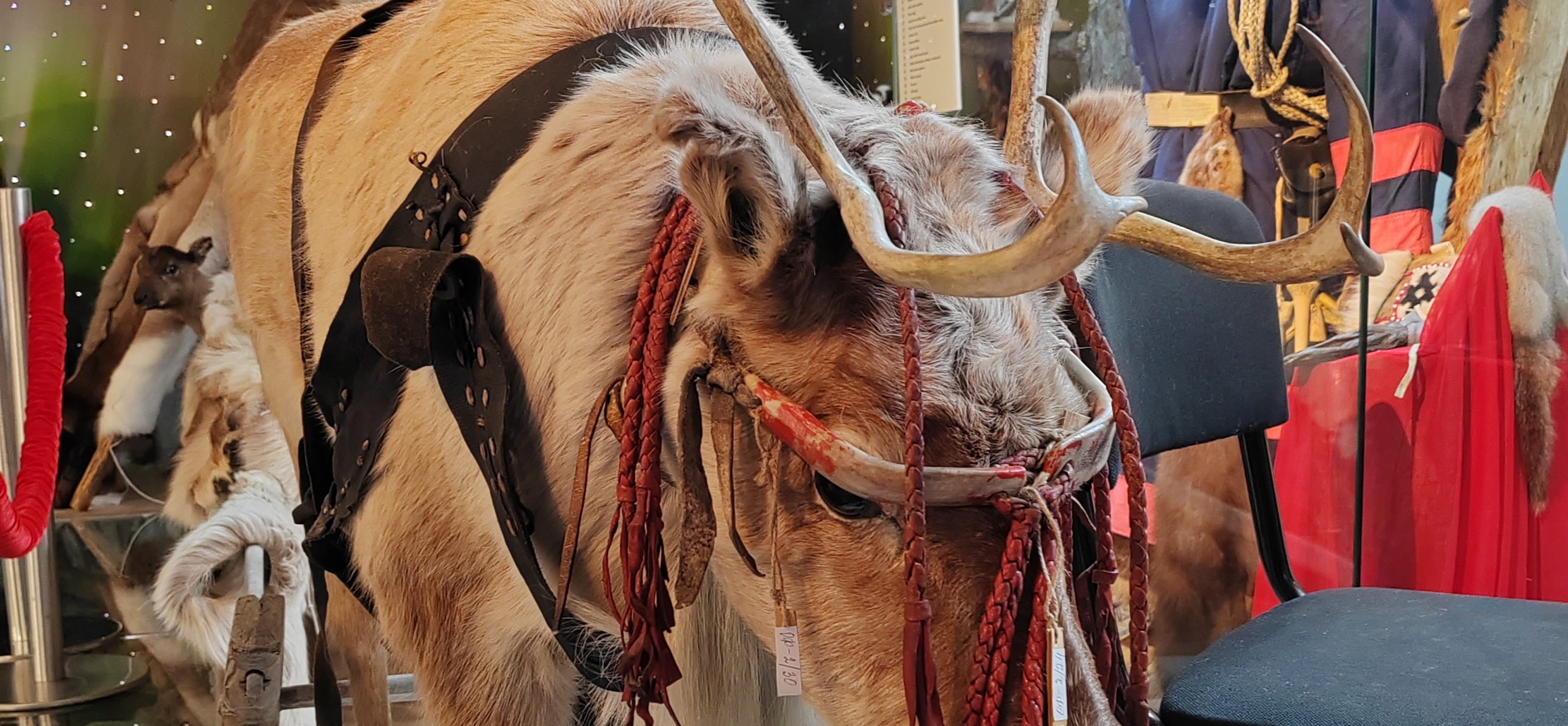 Как мы съездили на мою малую родину на Крайнем Севере в августе 2025 года: часть 2