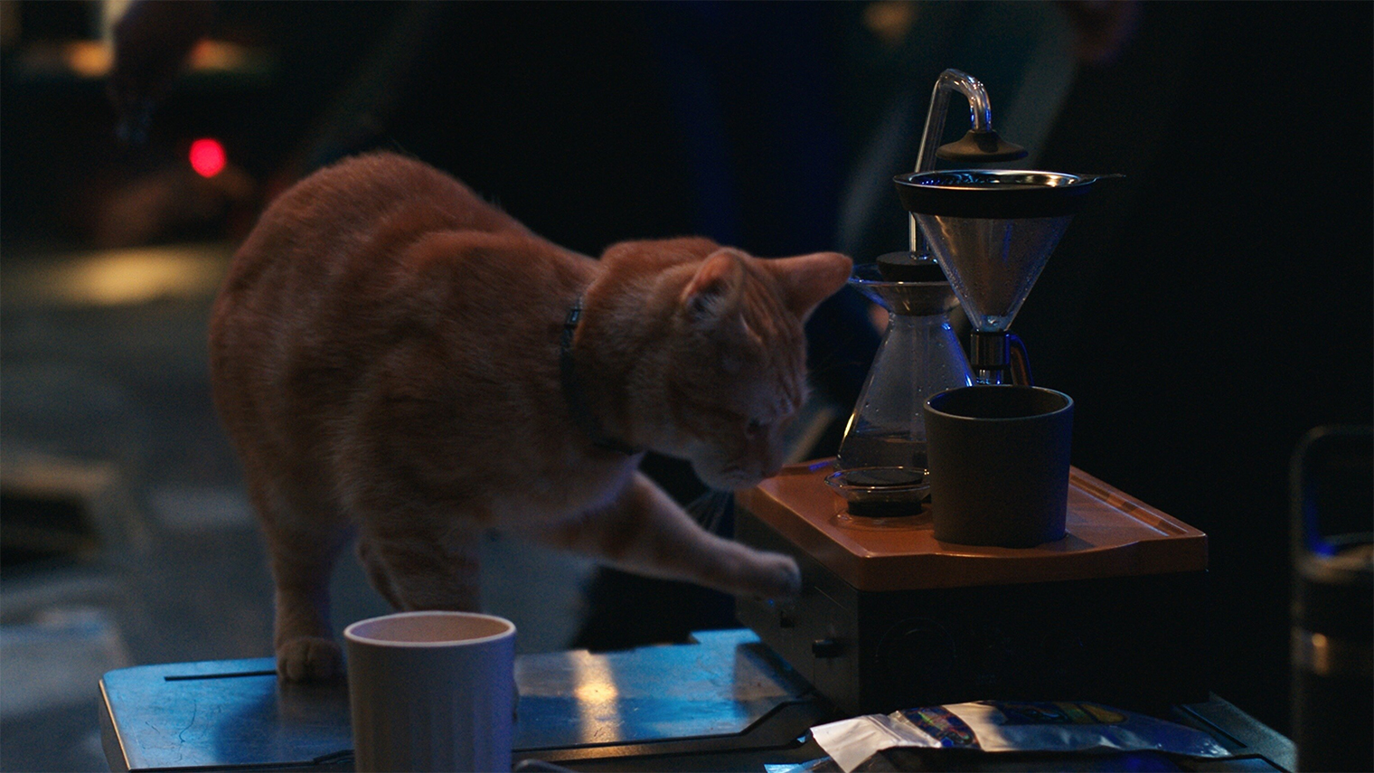 В сиквеле вновь появляется кот Гуся — именно он когда⁠-⁠то выцарапал глаз Нику Фьюри