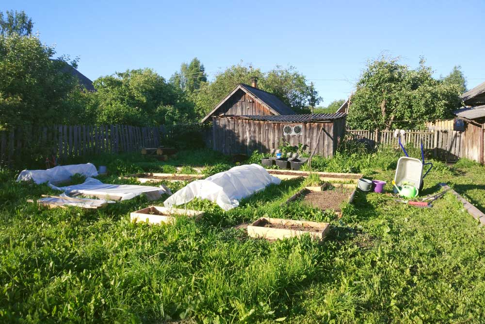 А вот и наш игрушечный огородик. Сами от себя не ожидали, но ведь посадили: капуста, картошка, морковь, свекла, разнообразная зелень, огурцы и даже пара кустов садовой земляники