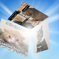 Обложка статьи