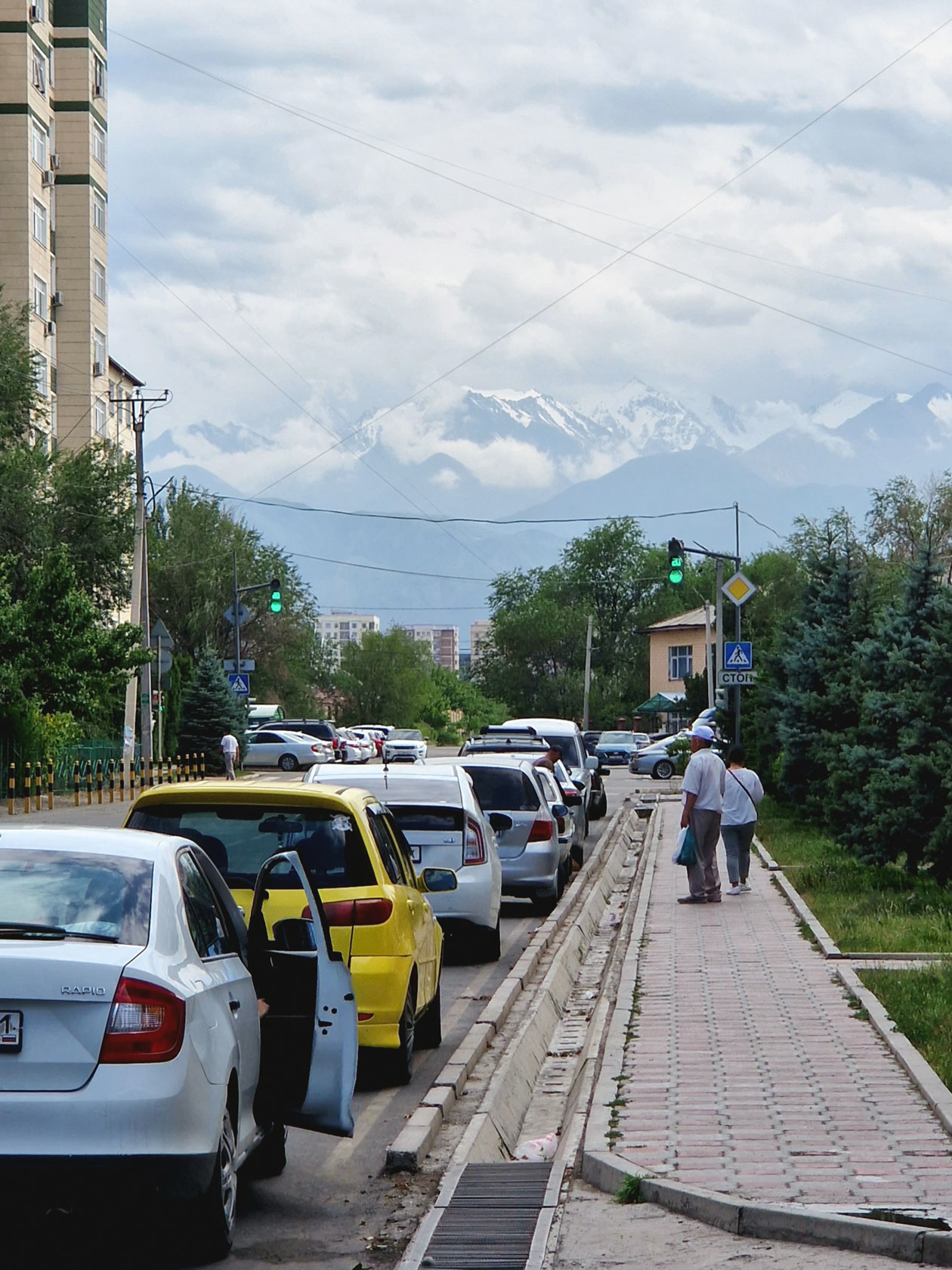 Это улица у дома, где мы жили. В Бишкеке горы видно почти из любой точки города