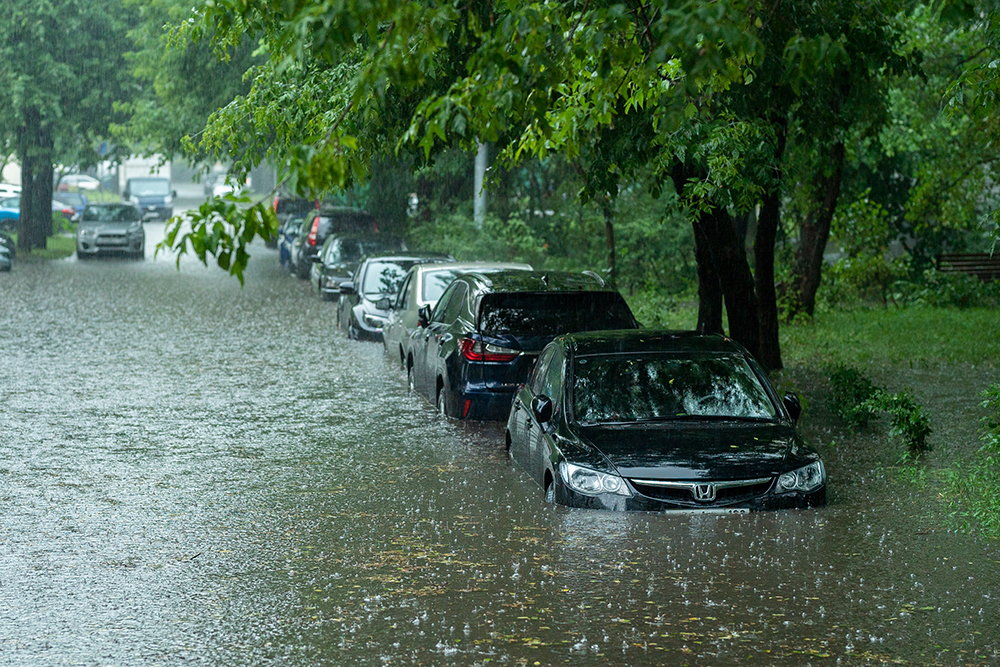 Автомобили, которые были припаркованы выше по улице, не пострадали от воды. Источник: Mkfilm / Shutterstock