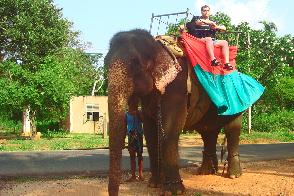 Это Шри-Ланка, 2009 год. Там я впервые прокатился на слоне, посетил древние индуистские храмы и попробовал кокосовое молоко