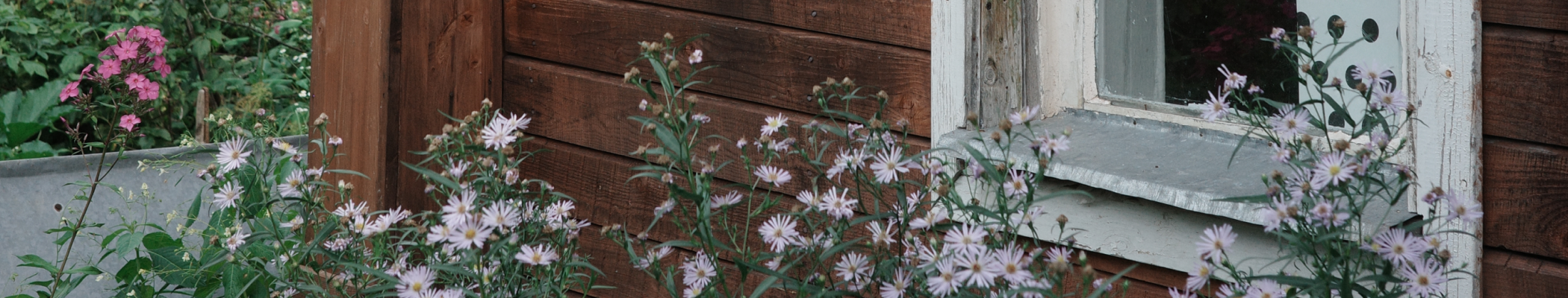 Обложка потока "Подкаст «Трачу на дачу»"