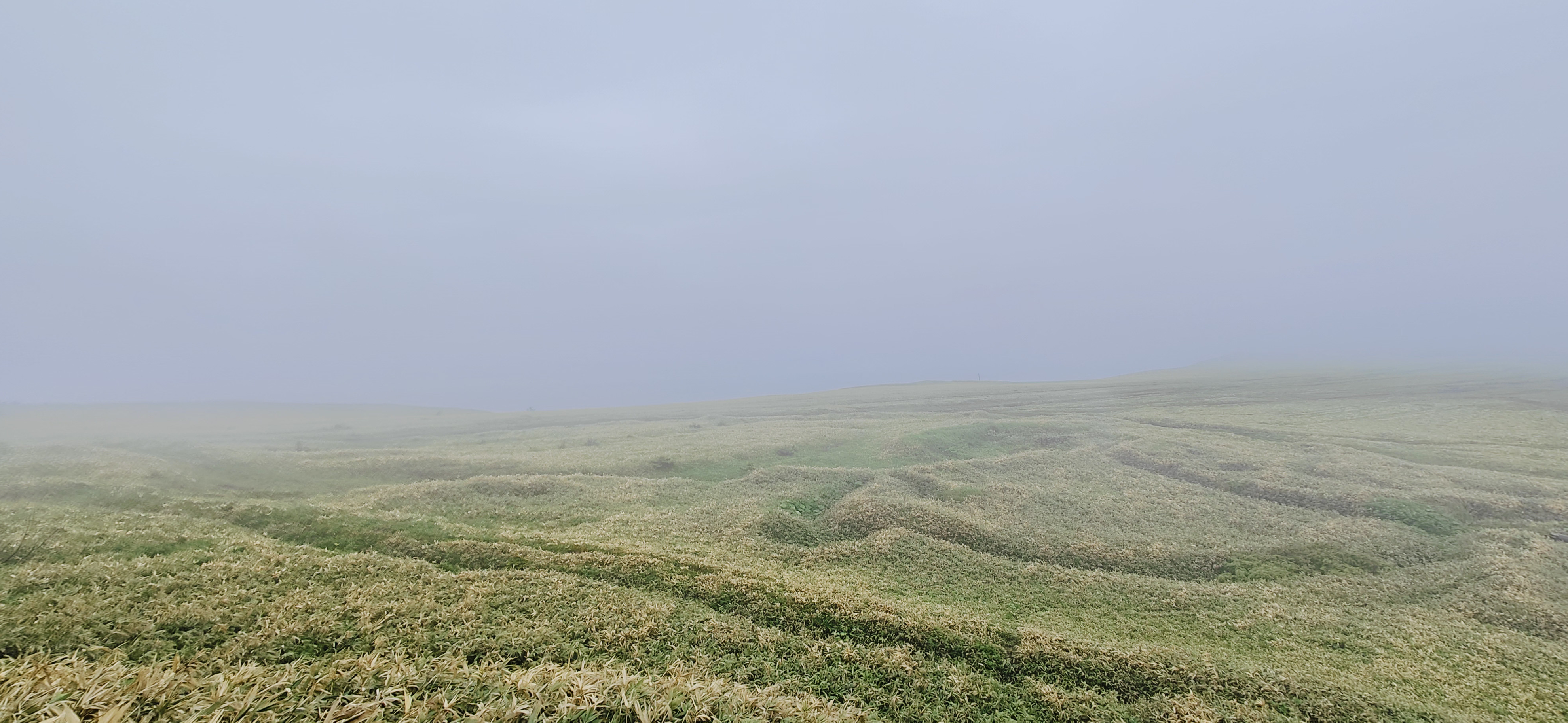 Совет путешественника: переносить экскурсии, если по прогнозу обещают дождь