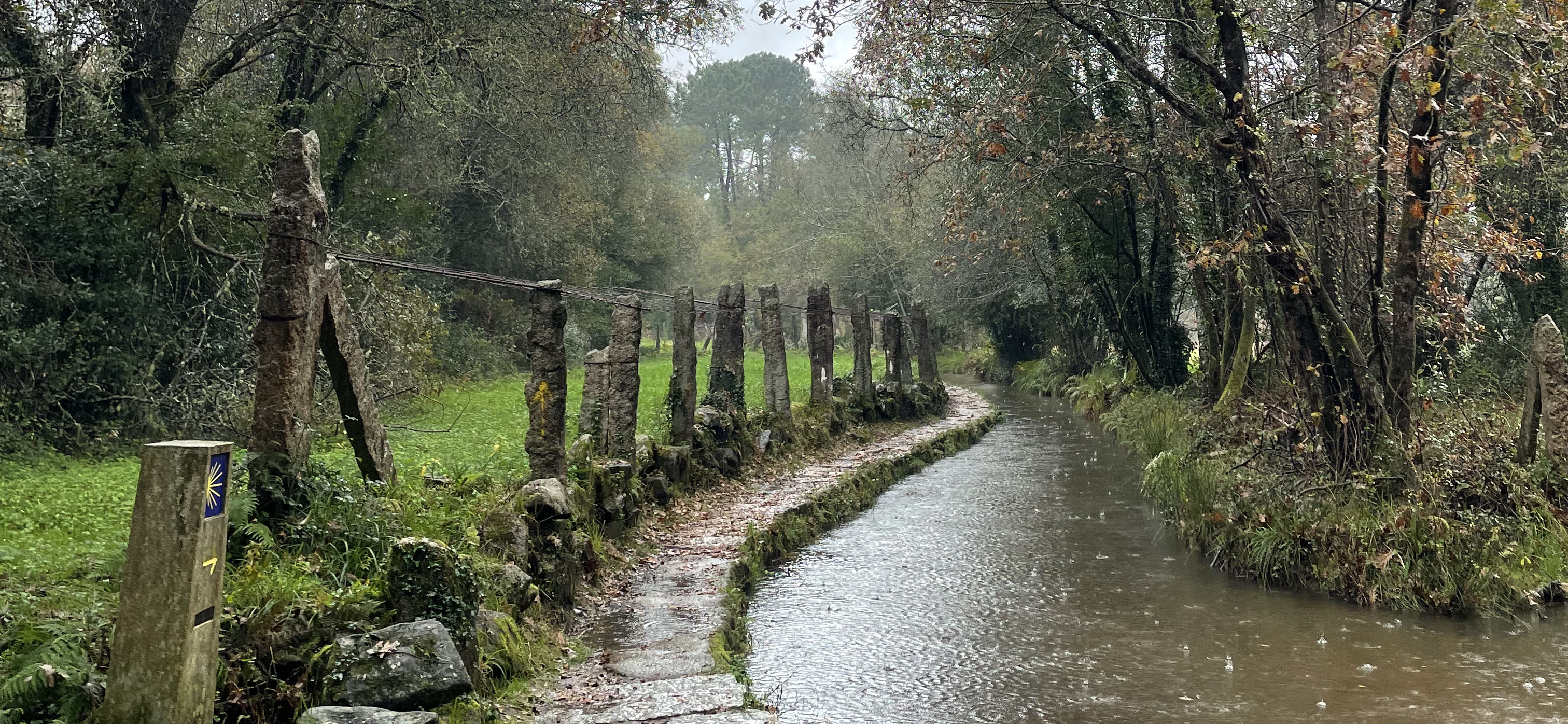 Совет путешественника: как пройти португальский маршрут Камино-де-Сантьяго зимой