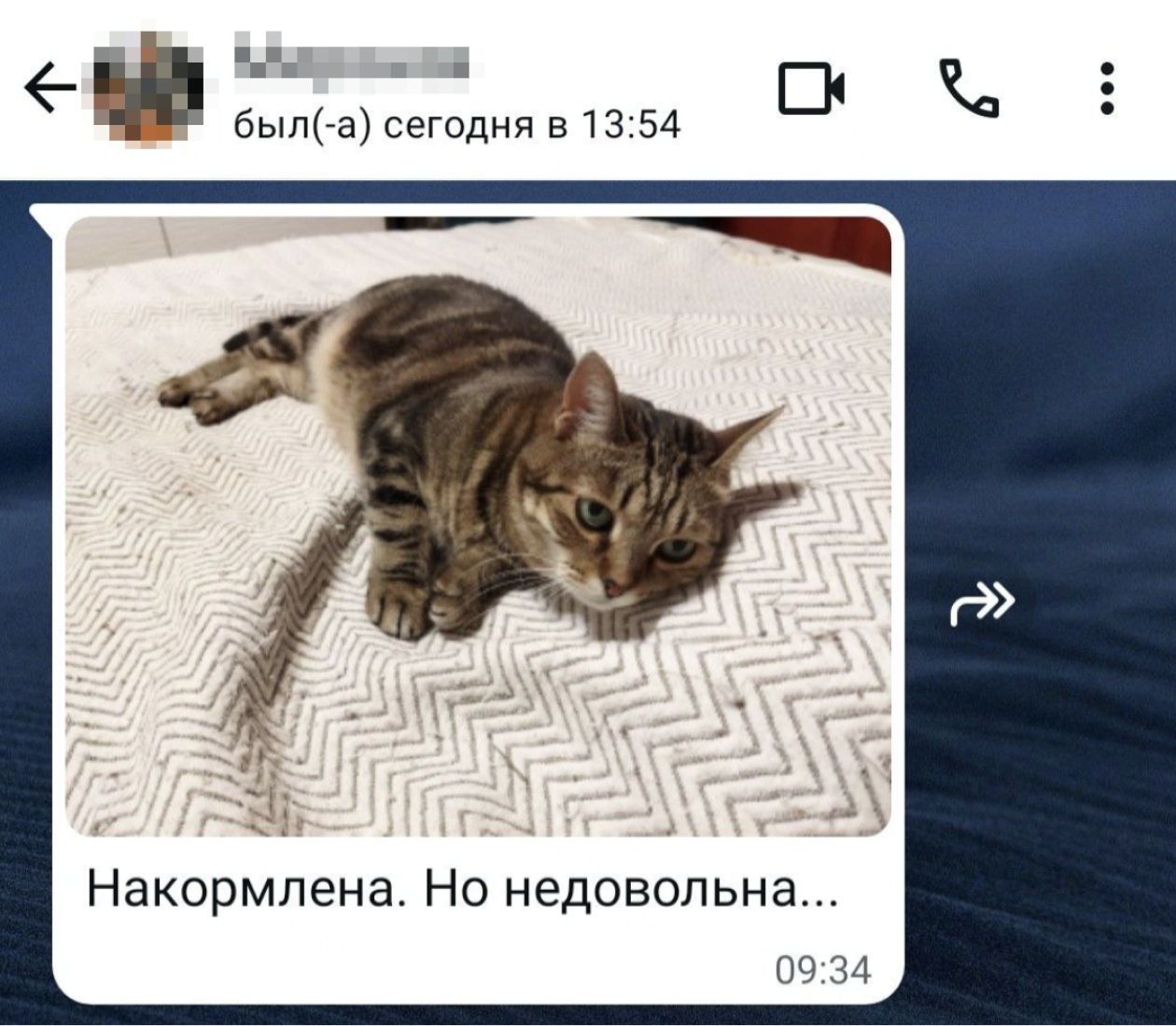 Фотоотчет от котоняни