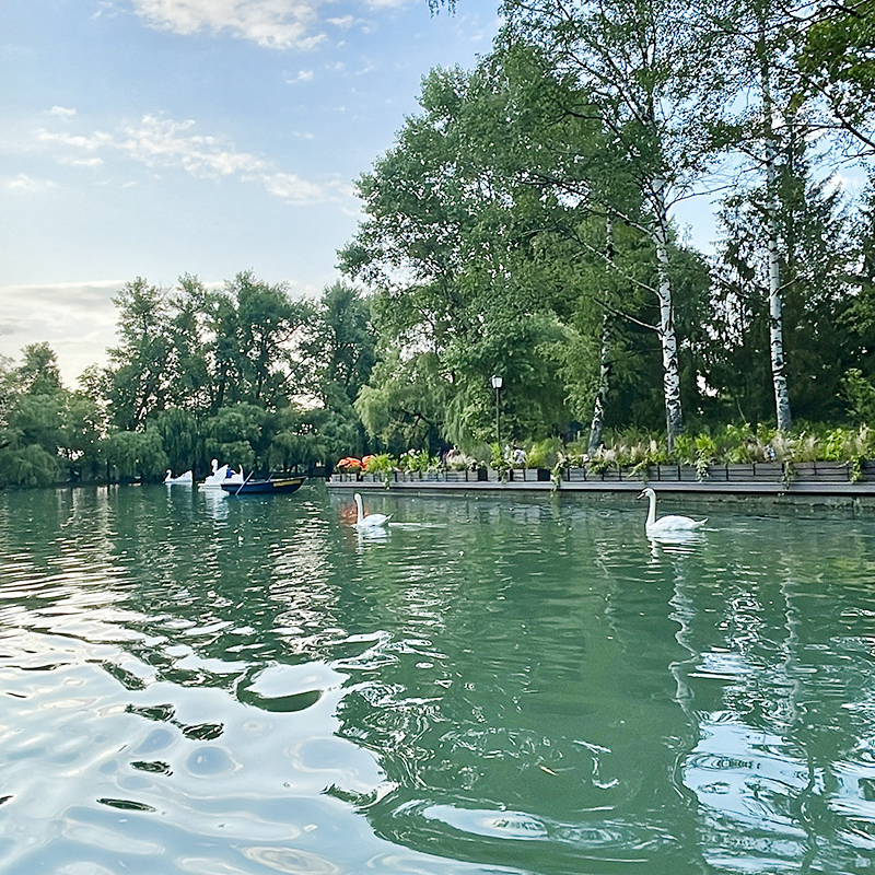 Вид с прокатной лодки в парке имени Коста Хетагурова во Владикавказе