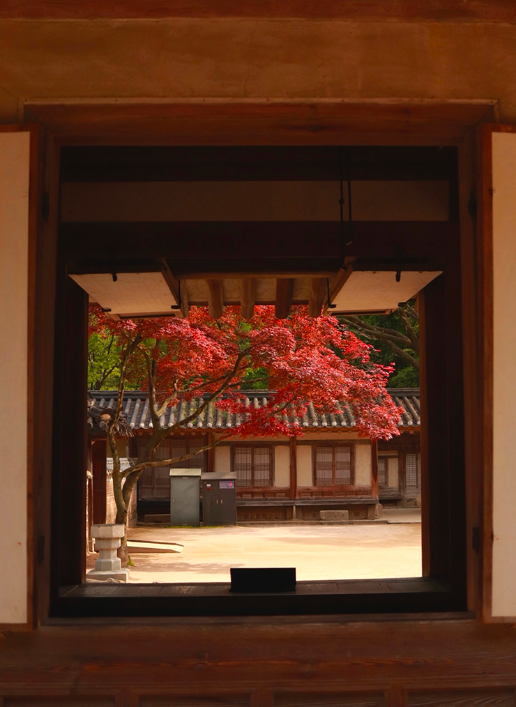 Changgyeonggung Palace — огромное место и Secret Garden находится внутри, необходимо покупать билет отдельно и обязательно подходить ко времени