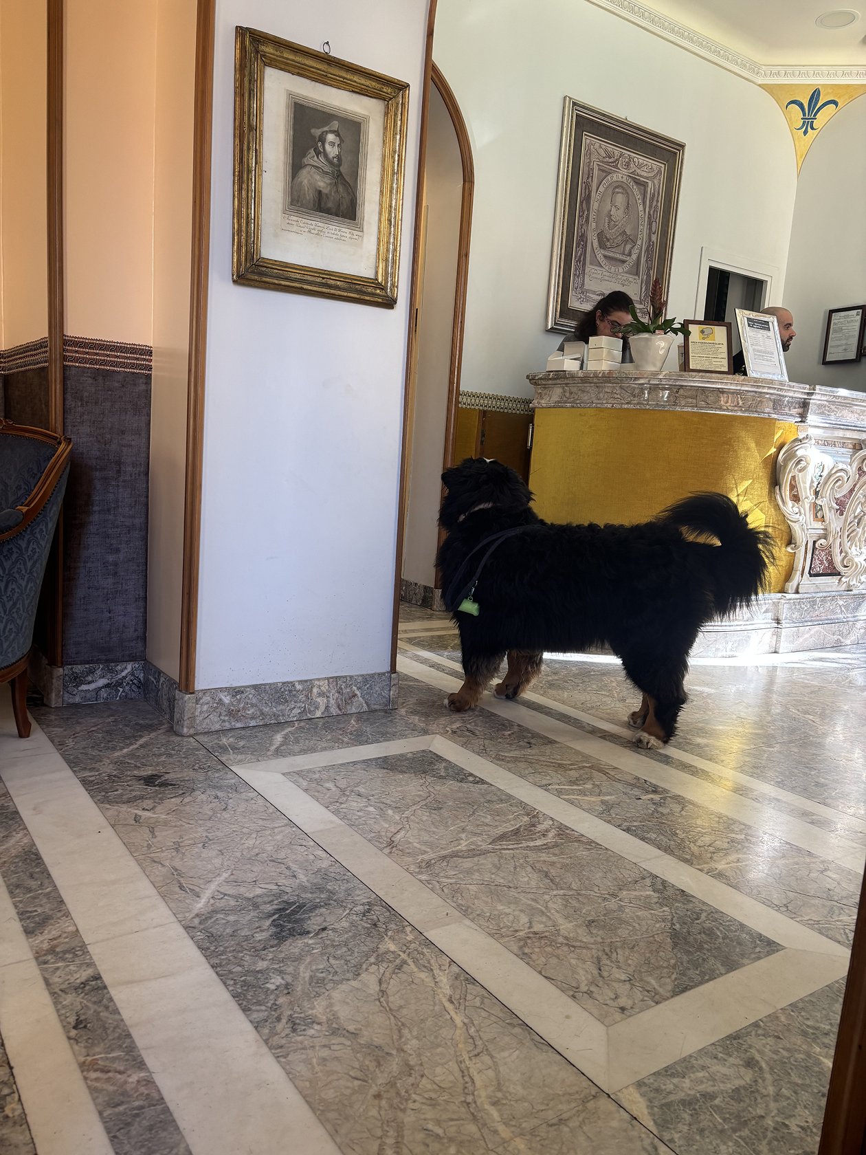 Мохнатая хозяйка римского отеля