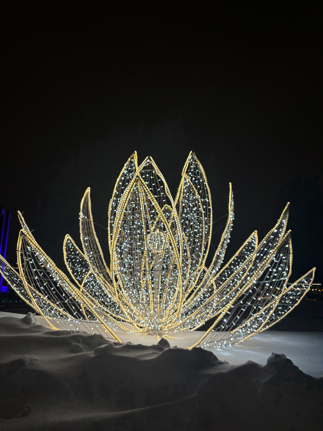 Лотос высокого экономического развития регионов