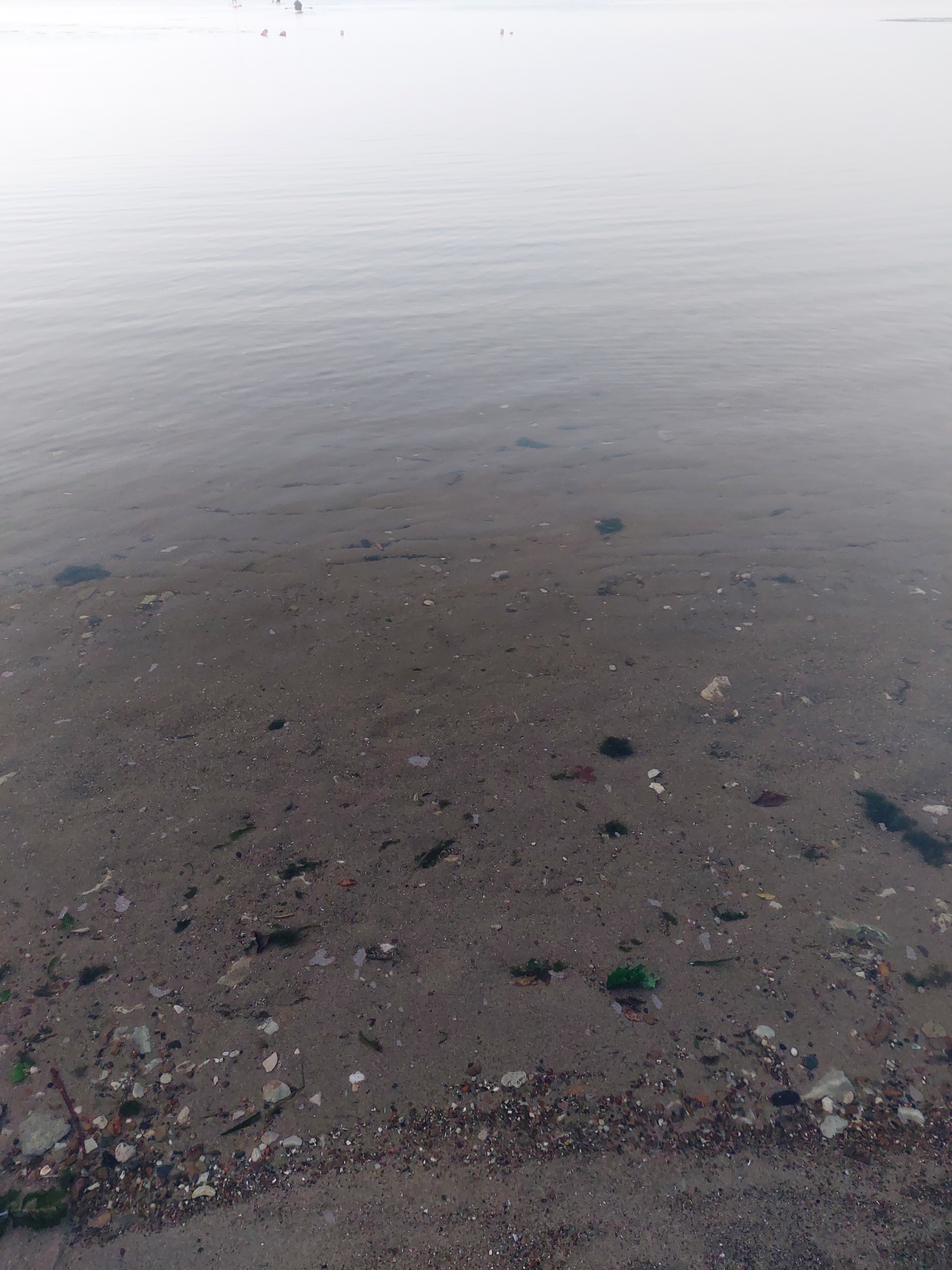 Вода в реке