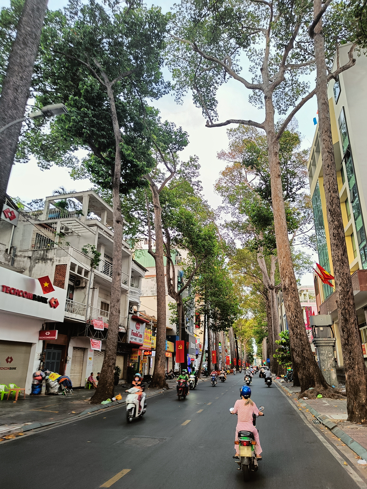 На некоторых улицах деревья растут вплотную к домам