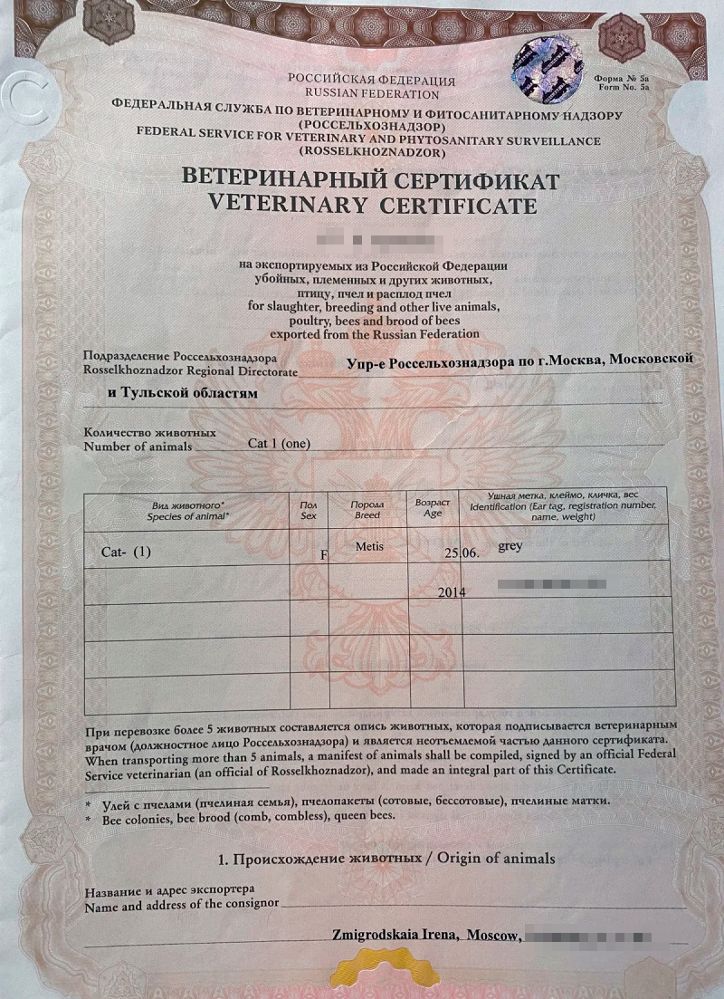 Международный ветеринарный сертификат по форме 5а