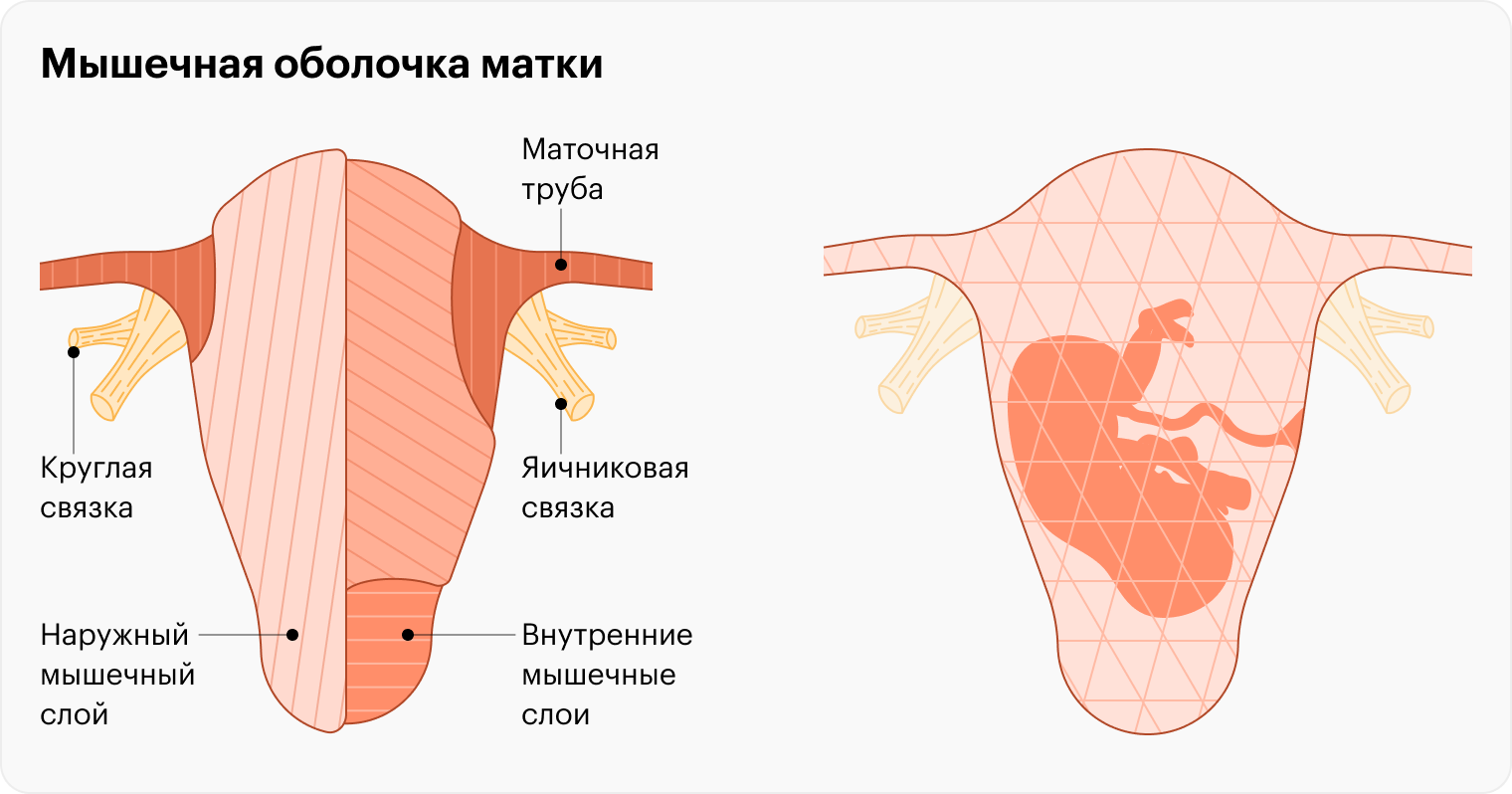 Признаки начала родов — как понять, что пора ехать в роддом.