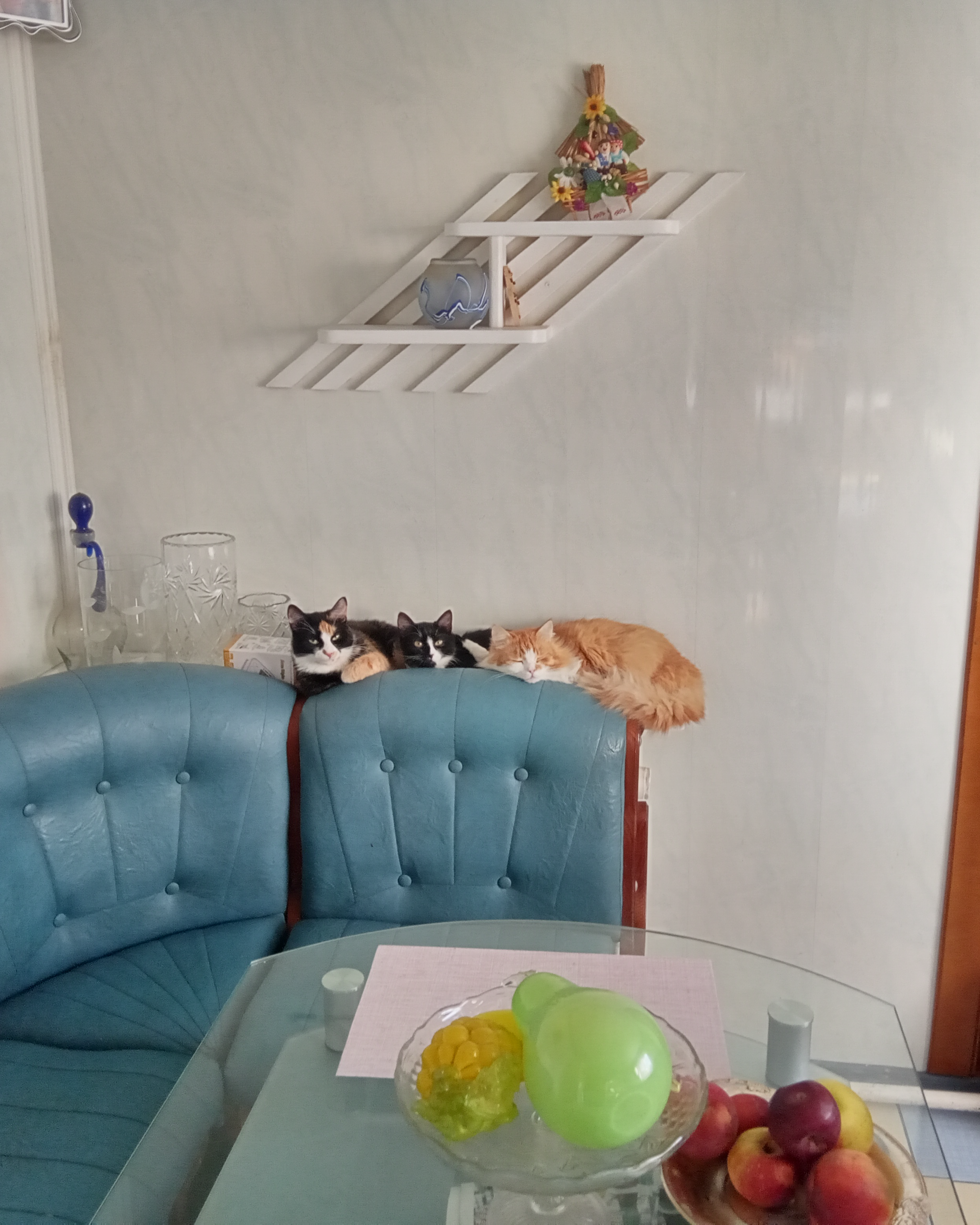 Фото питомцев: три кота лежат на спинке дивана