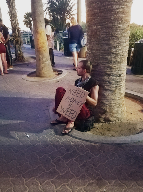 Этот парень просит денег для покупки марихуаны, которая легализована в Калифорнии
