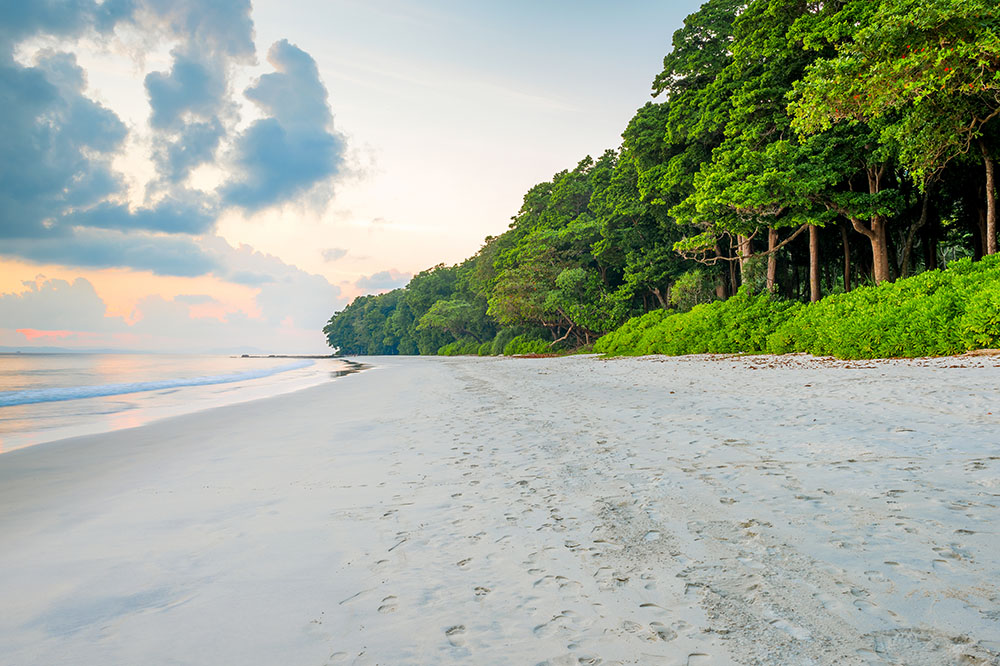 С воды видны только мангровые заросли — никаких отелей. Источник: Dchauy / Shutterstock