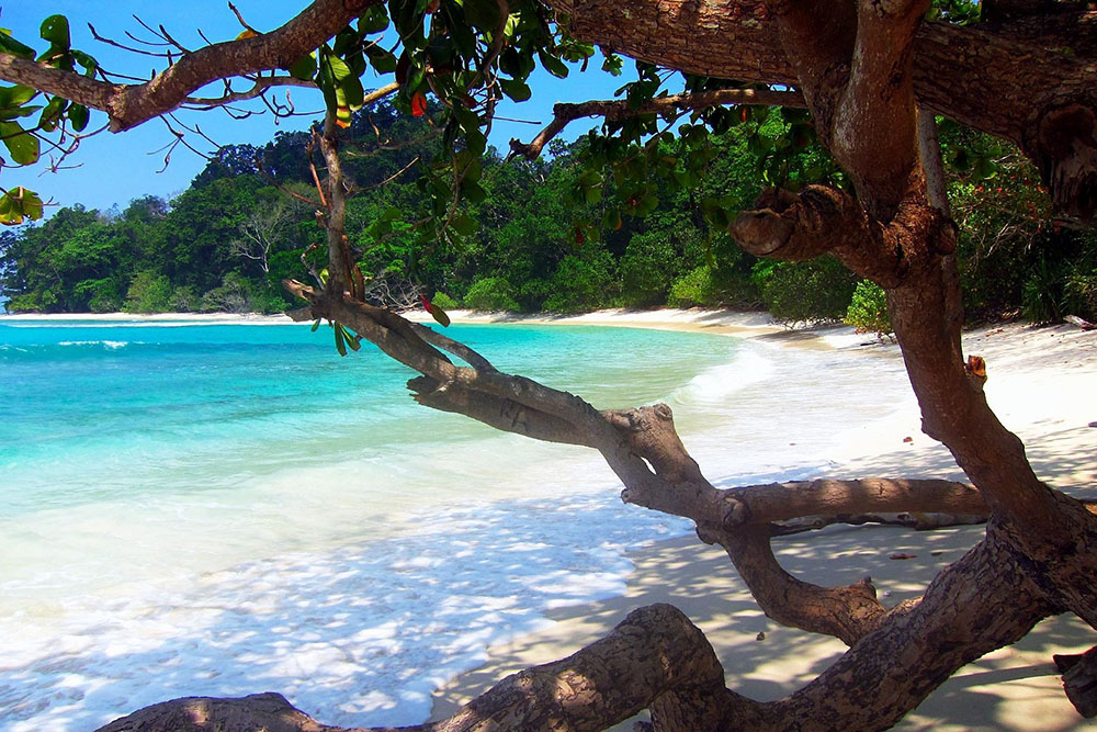 В тени мангровых деревьев можно спрятаться от солнца. Источник: tripadvisor.com