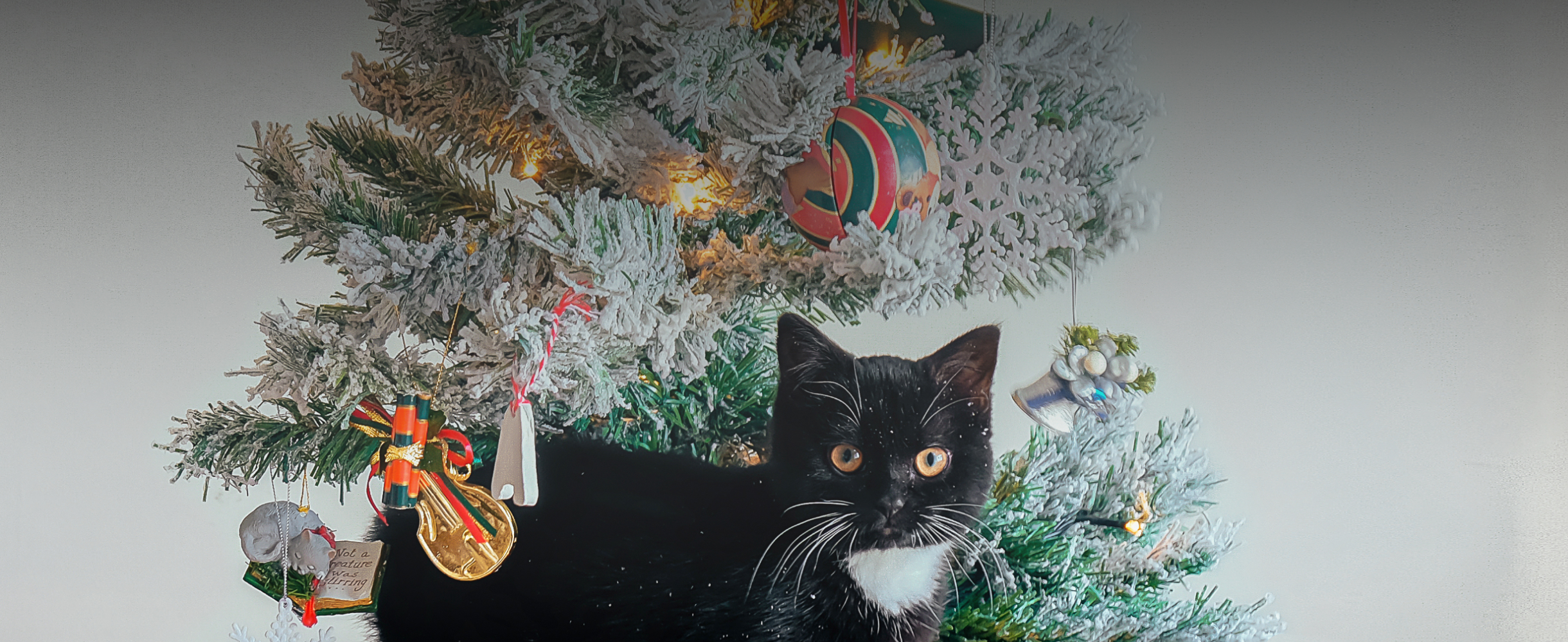 «Подозреваем, что кот сломался»: 16 историй про новогодние шалости домашних животных