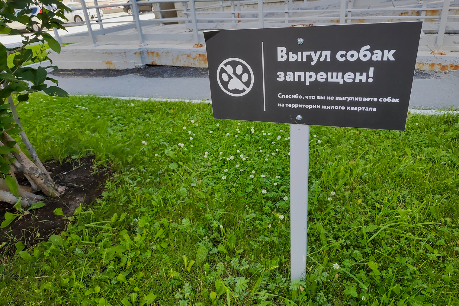 Во дворах многоквартирных домов можно встретить таблички с напоминанием, что выгуливать собак вне специальных площадок нельзя