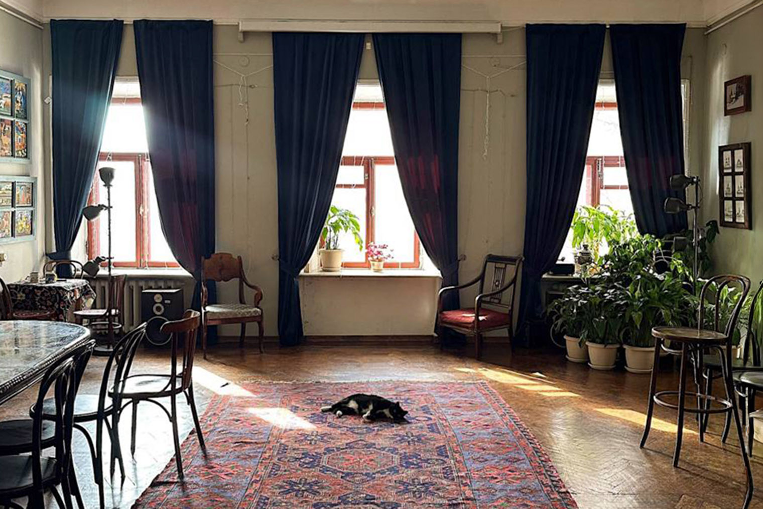 © Дом Телешова / Telegram