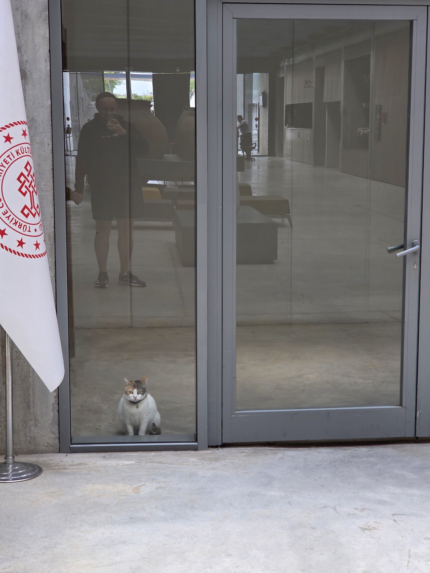 Троянский кот