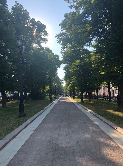 Это Петровский бульвар: деревья отделяют его от дороги, но их совсем немного