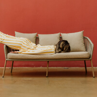 Обложка статьи