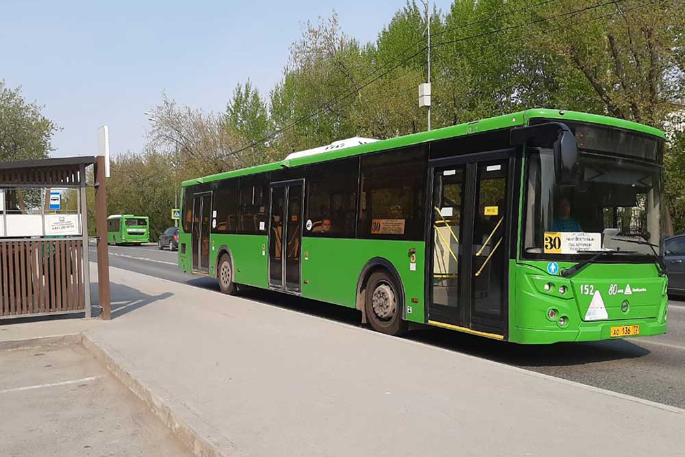 Большинство автобусов и маршруток выкрашены в одинаковый зеленый цвет
